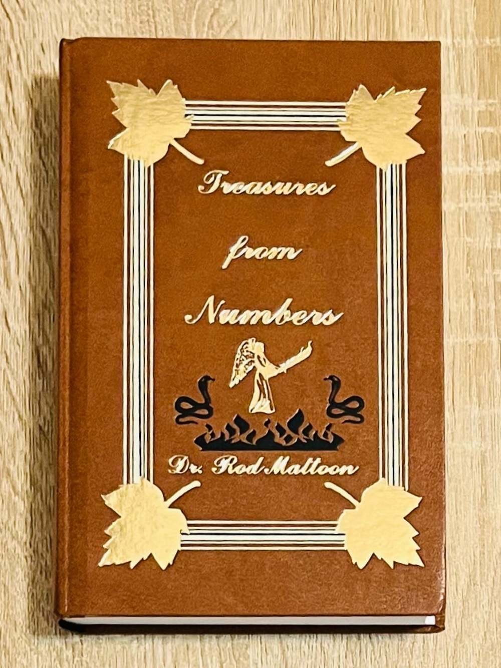 Treasures from Numbers by Rod Mattoon, Old Testament Commentary, Hardcover *NEW*